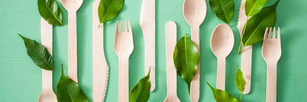 Sustainable Party Planning: How to Make Your Event Eco-Friendly